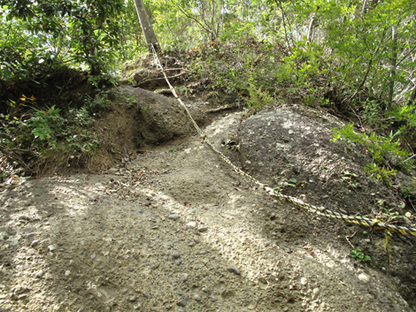 20151006hike (131)